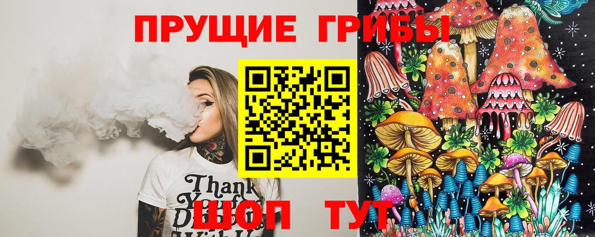 Галлюциногенные грибы Psilocybine cubensis  Вход с VPN  Трёхгорный 